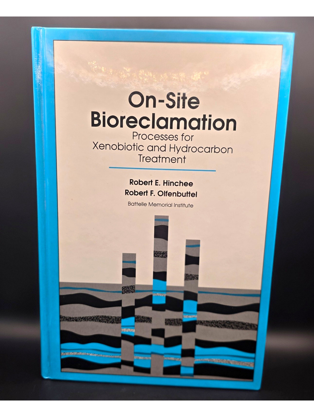 On-Site Bioreclamation Hinchee Olfenbuttel 1991  Textbook  0750693029 Free Ship!